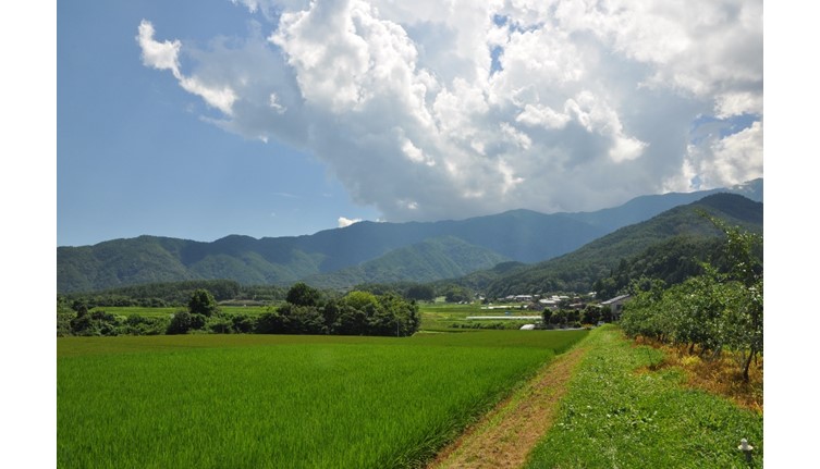 上伊那地域