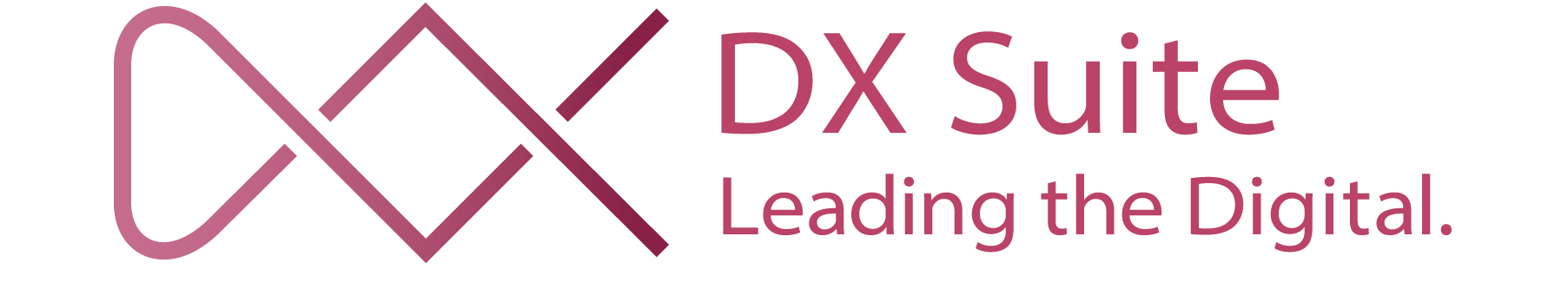 logo_dxsuite_02